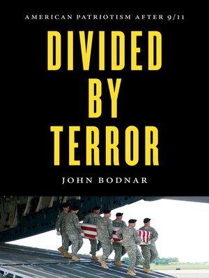 cover image of Divided by Terror